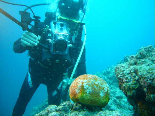 Profundo Scuba Diving